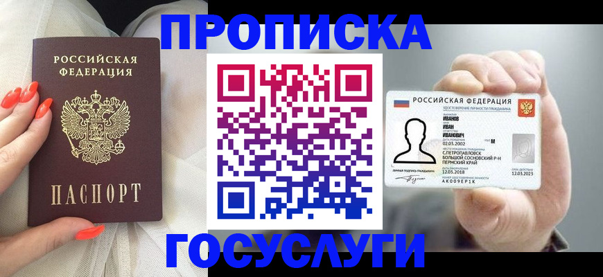 прописка гарантия в Мытищах
